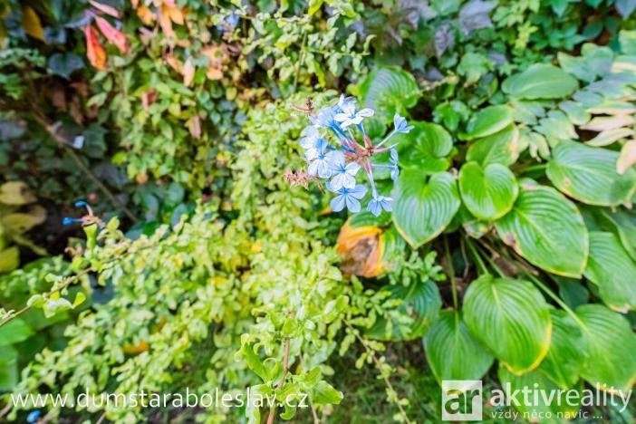 Prodej rodinného domu, Brandýs nad Labem-Stará Boleslav - Stará Boleslav, Boleslavská, 140 m2