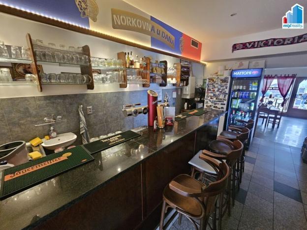 Pronájem restaurace, Plzeň - Jižní Předměstí, Klatovská třída, 100 m2
