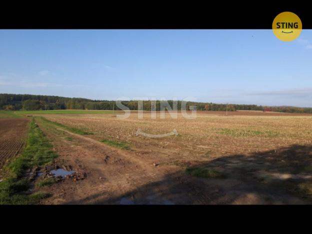 Prodej pole, Plumlov - Hamry, 13377 m2