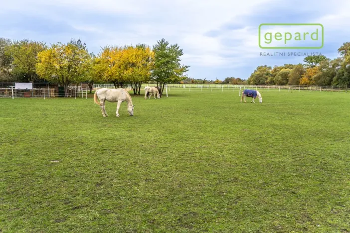 Prodej pozemku pro bydlení, Kostelní Hlavno, 821 m2