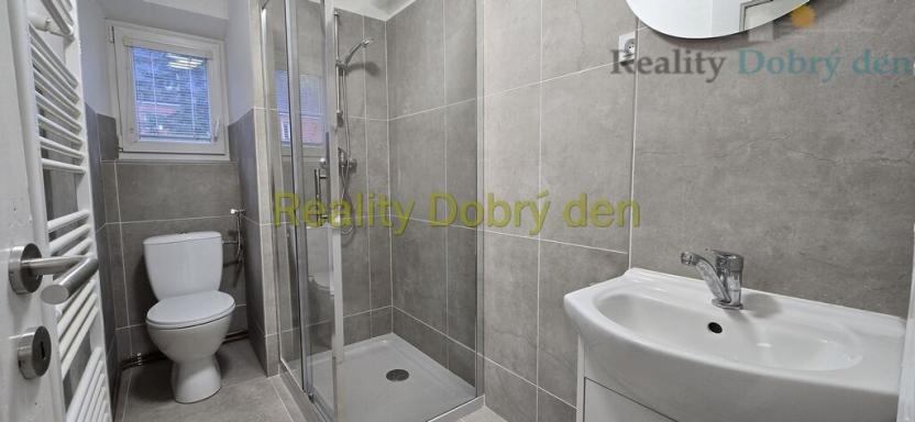 Pronájem bytu 2+1, Opava, Těšínská, 48 m2