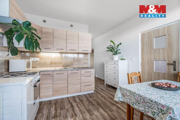 Prodej bytu 1+1, Ústí nad Labem - Ústí nad Labem-centrum, Hornická, 40 m2