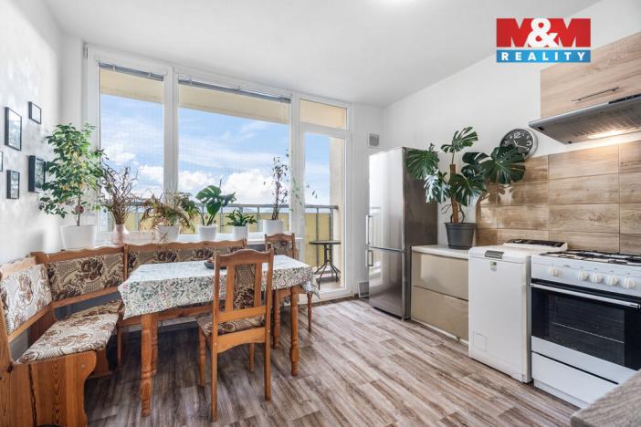 Prodej bytu 1+1, Ústí nad Labem - Ústí nad Labem-centrum, Hornická, 40 m2