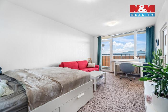 Prodej bytu 1+1, Ústí nad Labem - Ústí nad Labem-centrum, Hornická, 40 m2