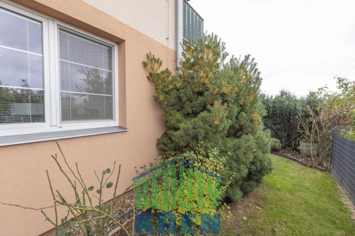 Pronájem bytu 2+kk, Holubice, Habrová, 51 m2