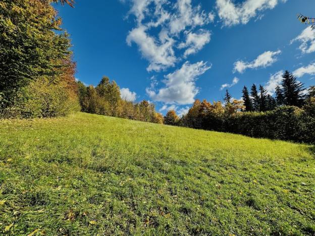 Prodej zemědělské usedlosti, Vápenná, 392 m2