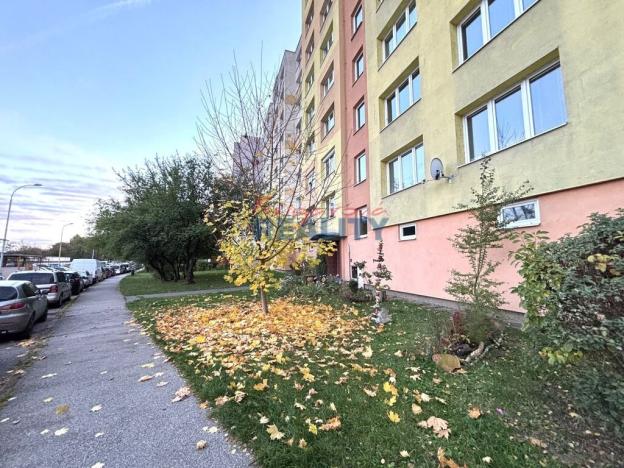 Prodej bytu 1+1, České Budějovice - České Budějovice 2, Krčínova, 46 m2