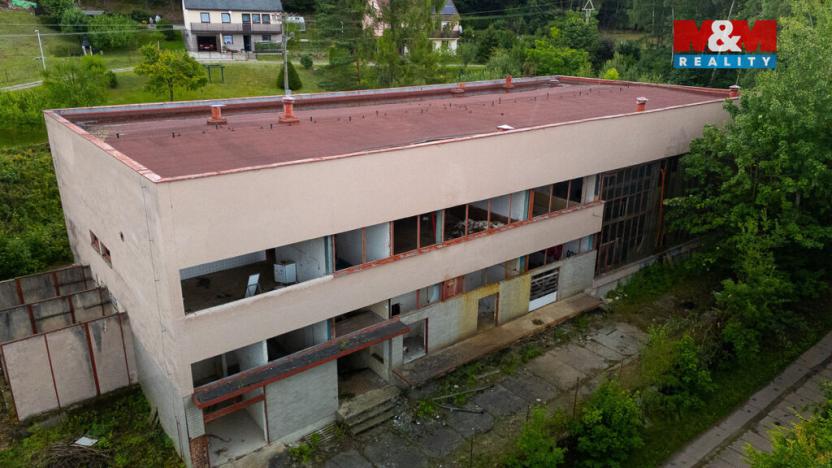 Prodej ubytování, Havlovice, 1236 m2
