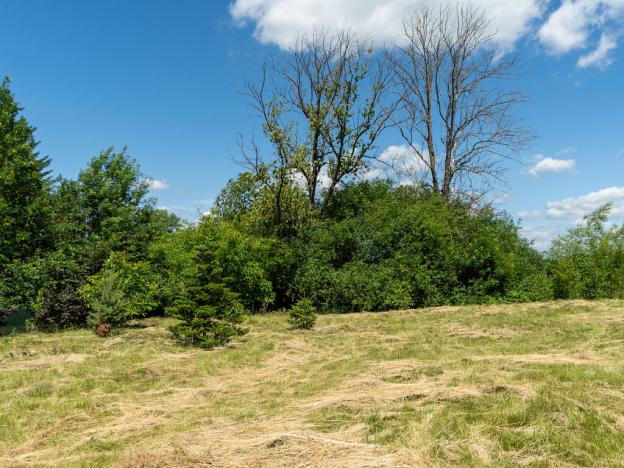 Prodej pozemku, Zbenice, 823 m2