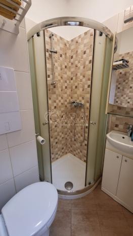 Pronájem bytu 1+kk, Brandýs nad Labem-Stará Boleslav - Brandýs nad Labem, Královická, 22 m2