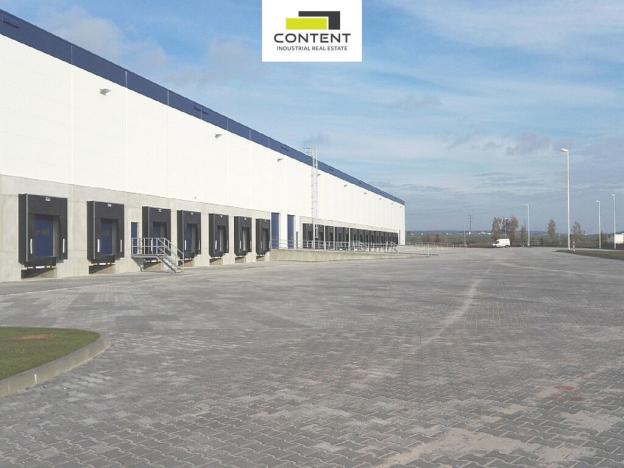 Pronájem výrobních prostor, Kostelec - Ostrov u Stříbra, 7000 m2