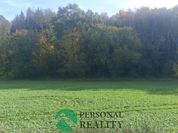 Prodej pole, Mrzky, 2259 m2