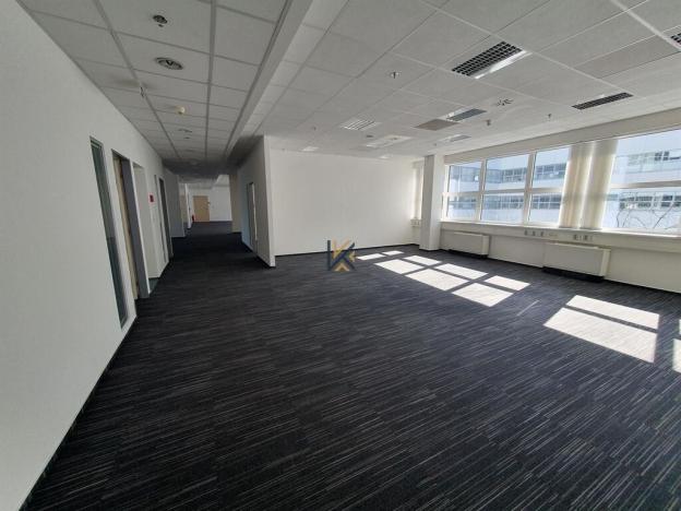 Pronájem komerční nemovitosti, Praha, Radlická, 576 m2