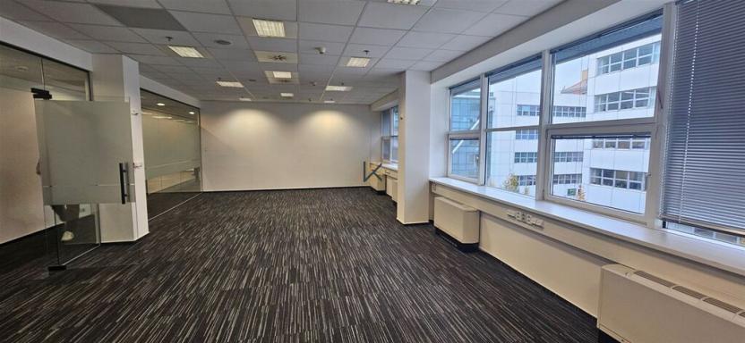 Pronájem komerční nemovitosti, Praha, Radlická, 576 m2