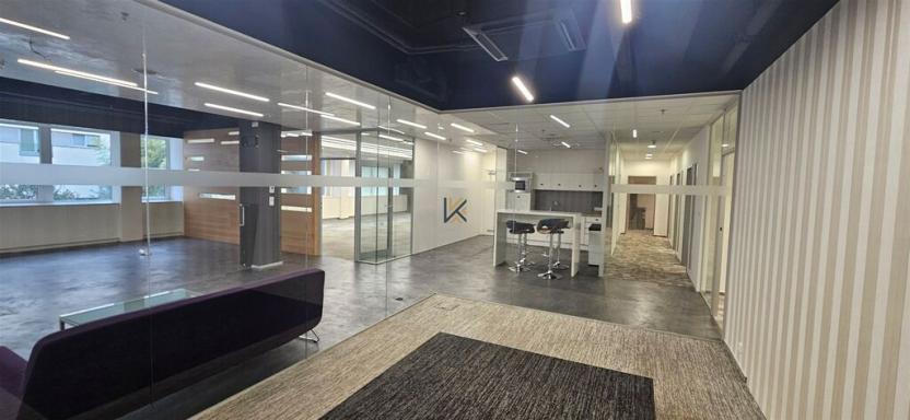 Pronájem komerční nemovitosti, Praha, Radlická, 789 m2