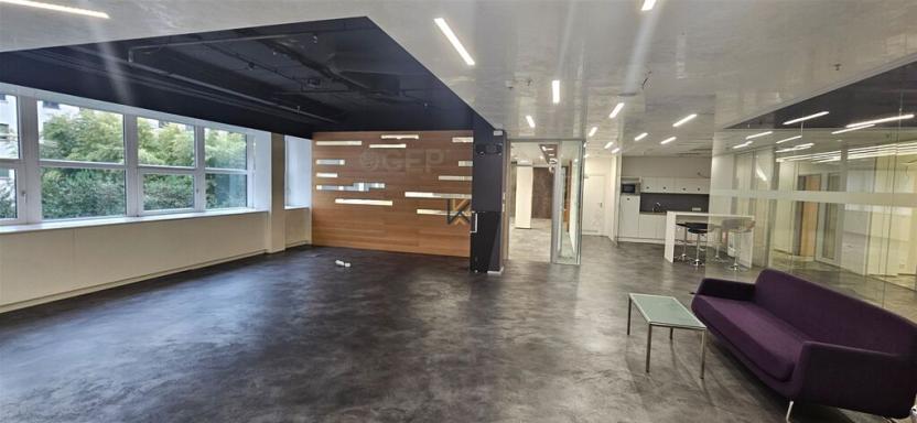 Pronájem komerční nemovitosti, Praha, Radlická, 789 m2