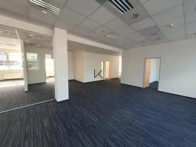 Pronájem komerční nemovitosti, Praha, Radlická, 789 m2