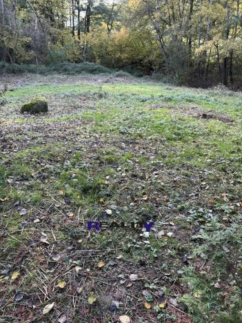 Prodej zahrady, Struhařov, 397 m2