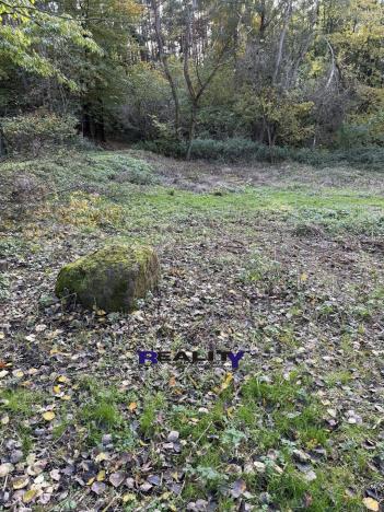 Prodej zahrady, Struhařov, 397 m2