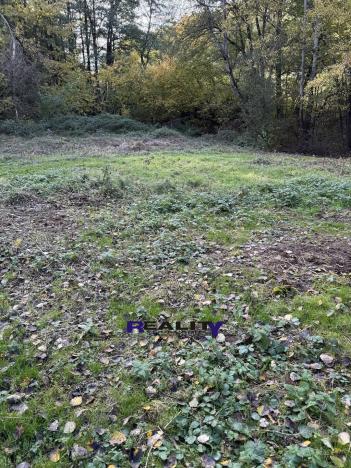 Prodej zahrady, Struhařov, 397 m2