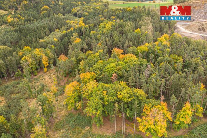 Prodej lesa, Ježovy - Trnčí, 39171 m2