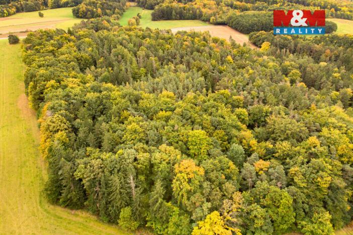 Prodej lesa, Ježovy - Trnčí, 39171 m2