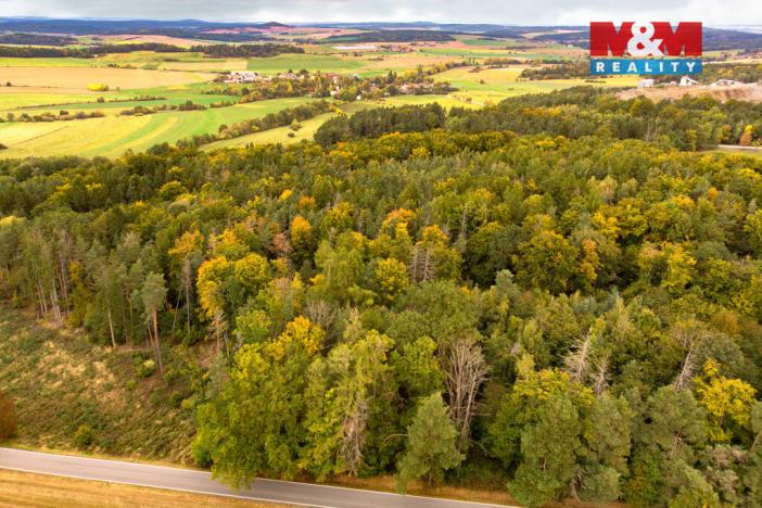 Prodej lesa, Ježovy - Trnčí, 39171 m2