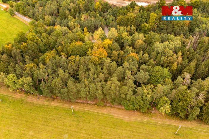 Prodej lesa, Ježovy - Trnčí, 39171 m2