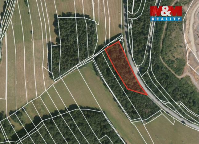 Prodej lesa, Ježovy - Trnčí, 39171 m2