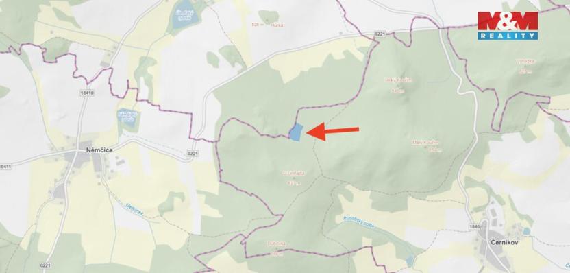 Prodej lesa, Černíkov, 12446 m2