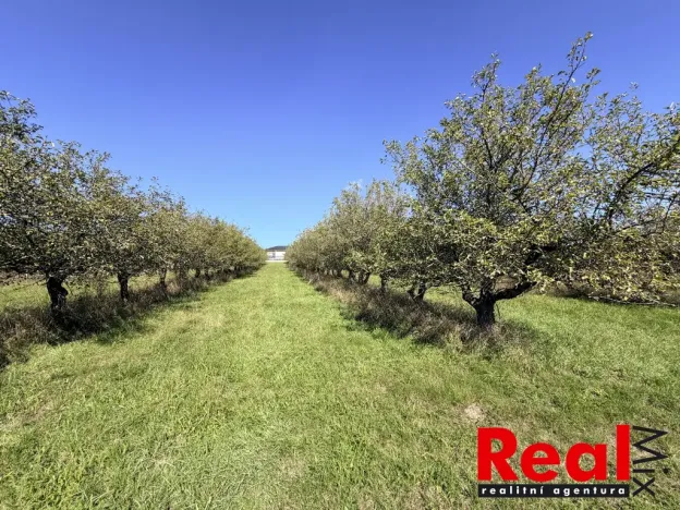 Prodej pozemku pro bydlení, Veverské Knínice, 1043 m2