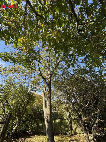 Prodej rodinného domu, Myslibořice, 65 m2