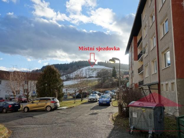 Pronájem bytu 1+1, Hartmanice, 39 m2