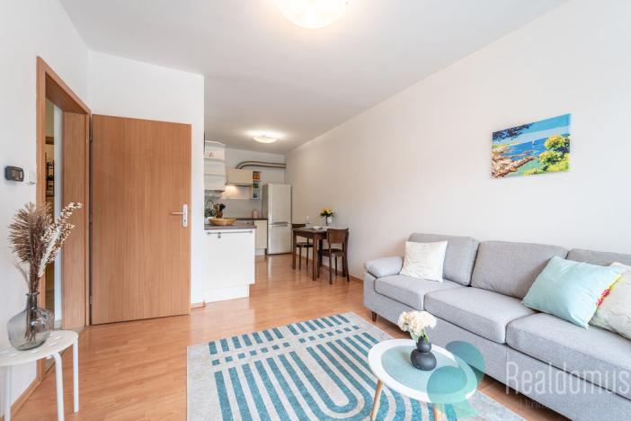 Pronájem bytu 2+kk, Libčice nad Vltavou, Družstevní, 44 m2