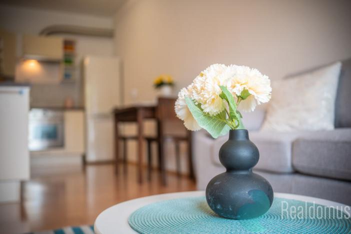 Pronájem bytu 2+kk, Libčice nad Vltavou, Družstevní, 44 m2