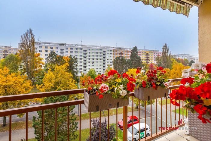 Prodej bytu 3+1, Hradec Králové - Nový Hradec Králové, Milady Horákové, 70 m2