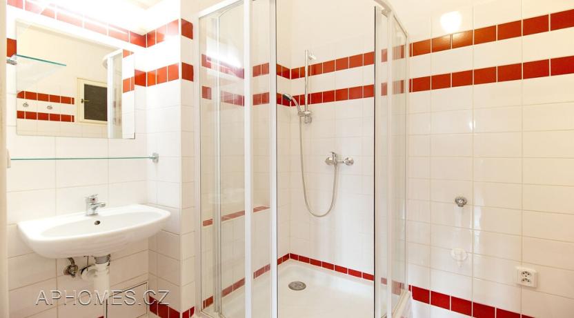 Pronájem bytu 1+1, Praha - Dejvice, Nikoly Tesly, 50 m2