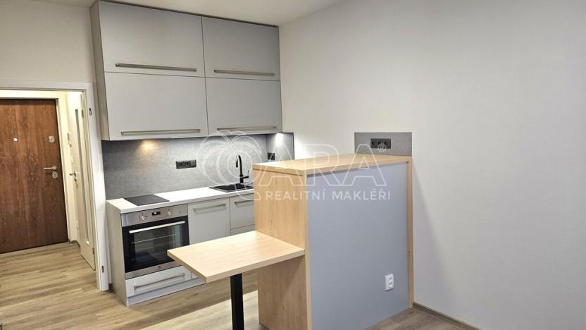 Pronájem bytu 1+kk, Praha - Třebonice, Do zahrádek II, 25 m2