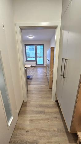 Pronájem bytu 1+kk, Praha - Třebonice, Do zahrádek II, 25 m2