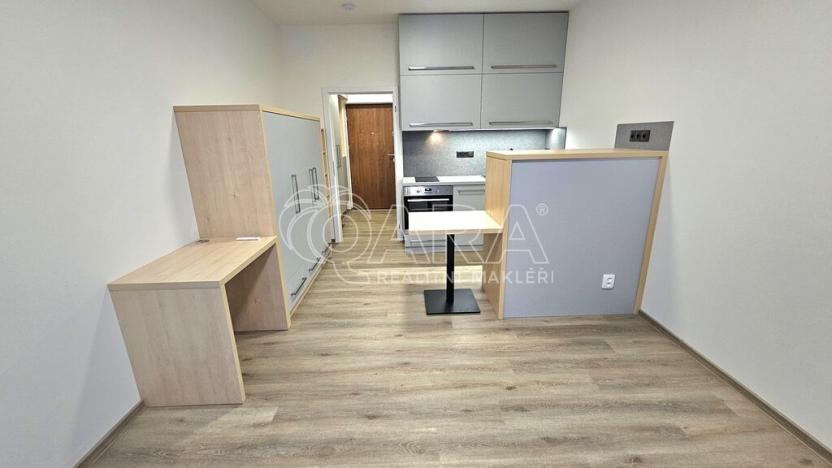 Pronájem bytu 1+kk, Praha - Třebonice, Do zahrádek II, 25 m2