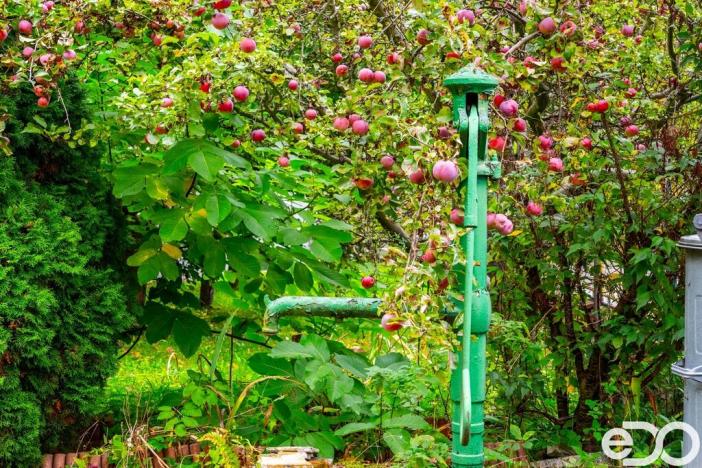 Prodej rodinného domu, Krásný Dvůr, 90 m2