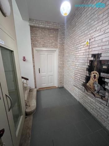 Prodej bytu 2+1, Mariánské Lázně, Anglická, 156 m2