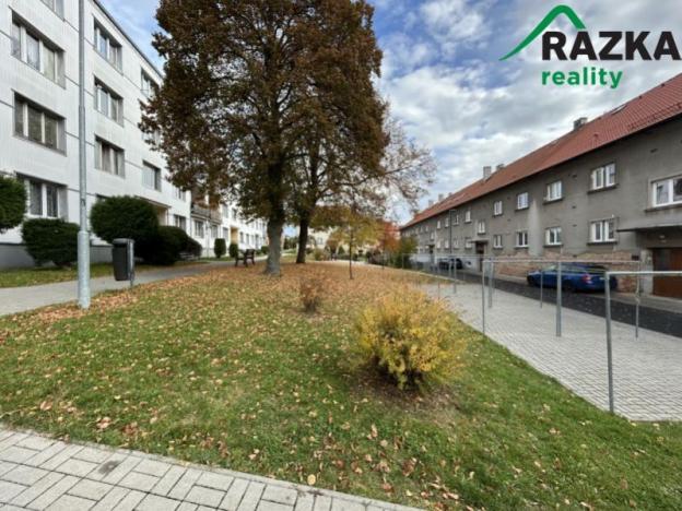 Prodej bytu 3+1, Bor, Borská, 66 m2