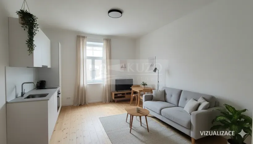 Prodej bytu 1+kk, České Budějovice, Rudolfovská tř., 36 m2