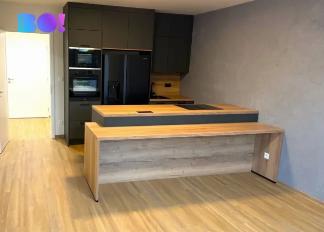 Pronájem bytu 2+kk, Ostrava, U Hájenky, 55 m2