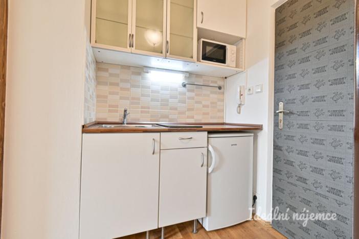 Pronájem bytu 1+kk, Brno - Líšeň, Jedovnická, 20 m2