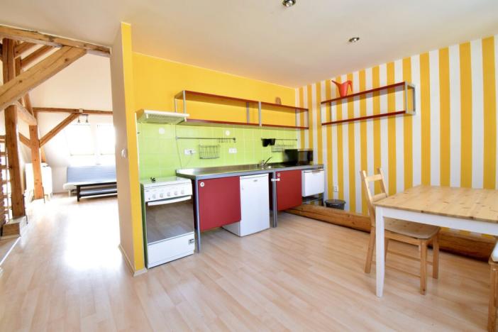 Pronájem bytu 1+kk, Brno - Brno-město, Veselá, 58 m2
