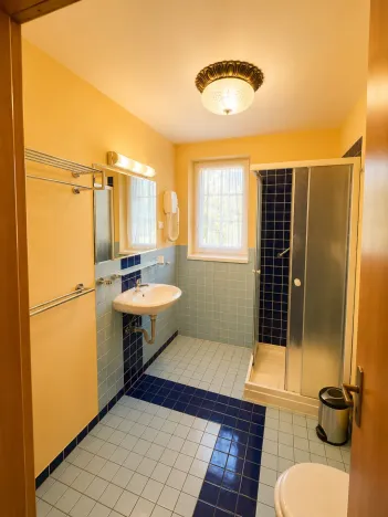 Prodej ubytování, Děpoltovice, 480 m2