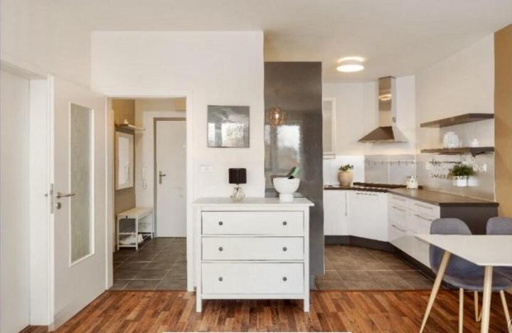 Pronájem bytu 2+kk, Praha - Žižkov, Biskupcova, 54 m2