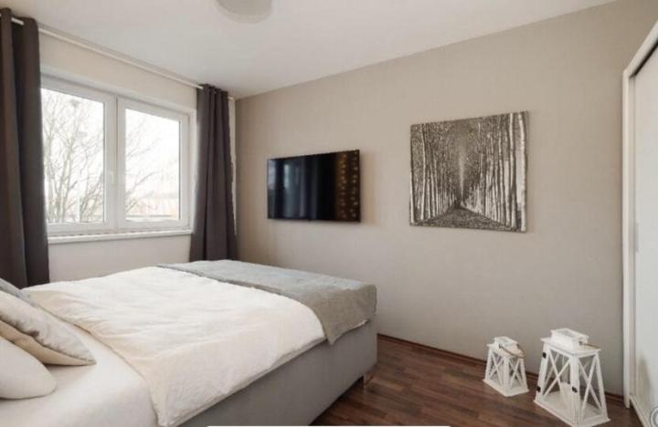 Pronájem bytu 2+kk, Praha - Žižkov, Biskupcova, 54 m2